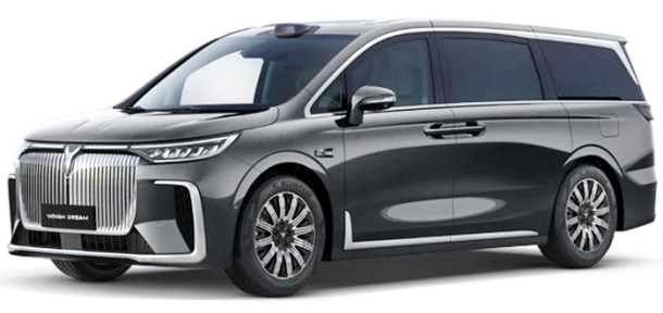 Автомобильные коврики EVA 3D для Voyah Dream (2021->)